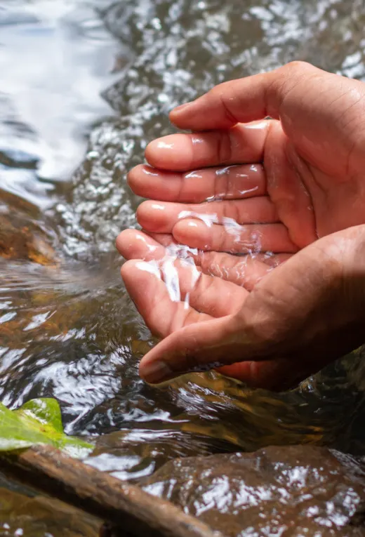 Women with Solar Panel